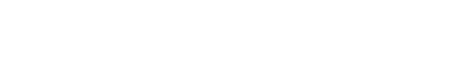 Logo (white, transparent)